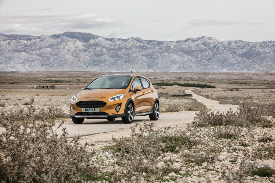  Ford Fiesta Active 2017 года  (WW) (фото 5 из 37)